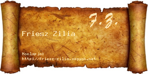 Friesz Zilia névjegykártya